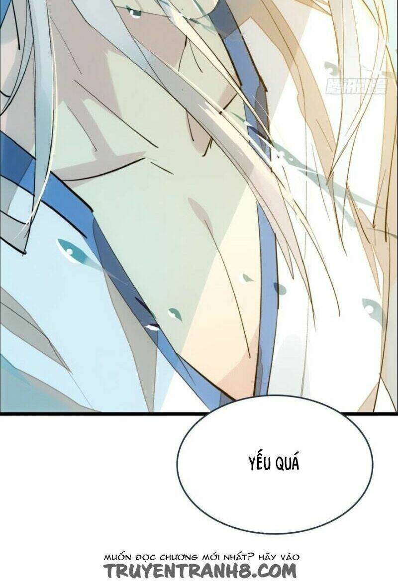 Sư Phụ Lại Trêu Chọc Ta: Chapter 13