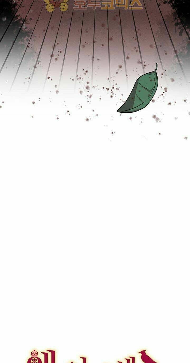 Công Tước, Loạn Vừa Thôi!: Chapter 27