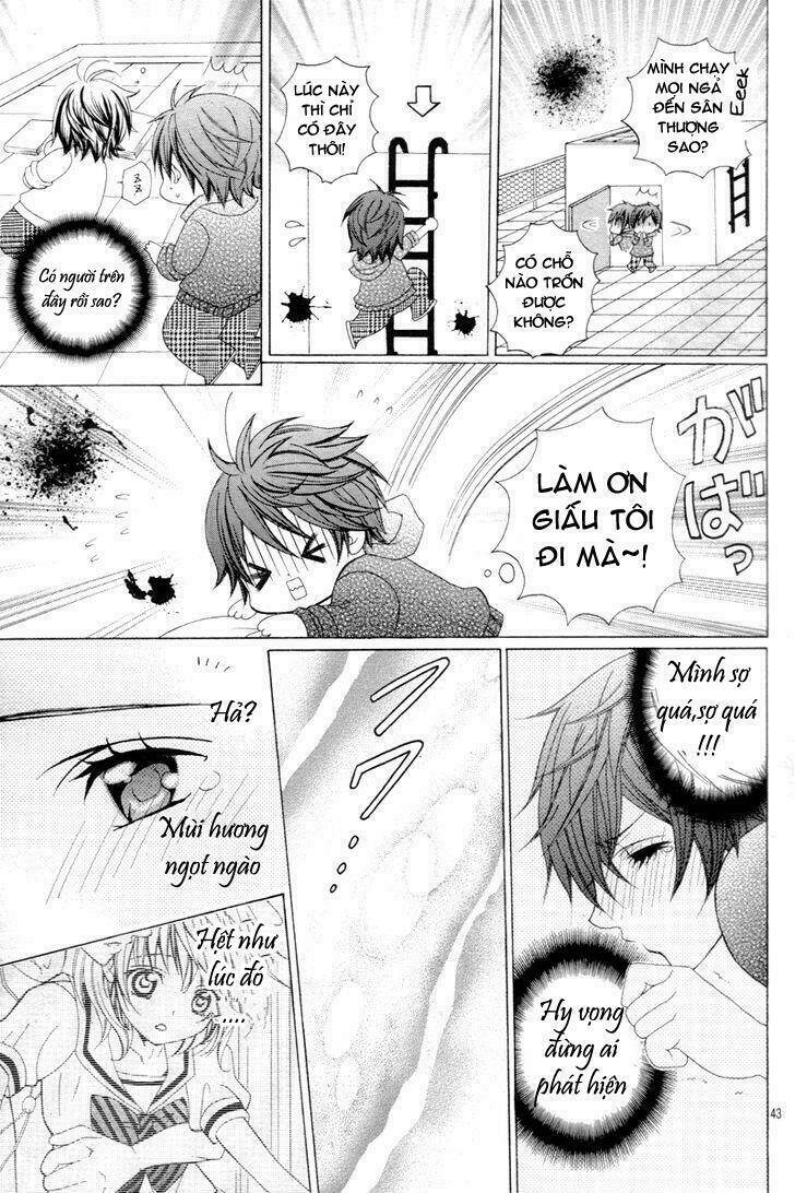 Cuộc Gặp Gỡ Diệu Kỳ: Chapter 1