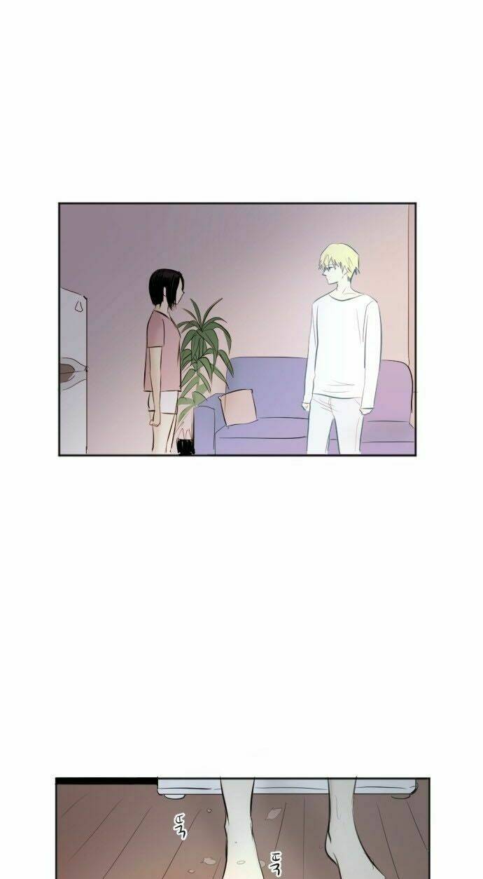 Transparent Cohabitation: Chapter 37