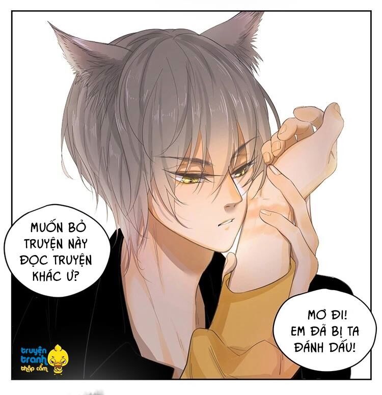 Cứu mạng ! Loài mèo thống trị thế giới rồi !: Chapter 21