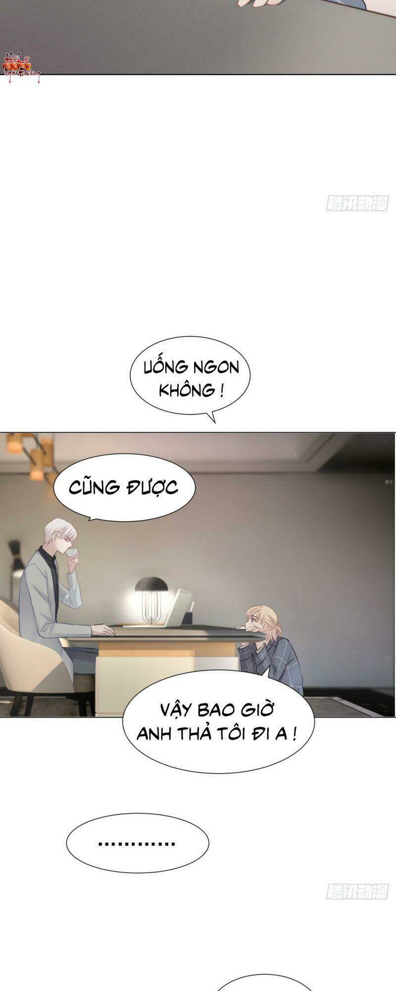 Điều Giáo Gấu Bắc Cực: Chapter 17