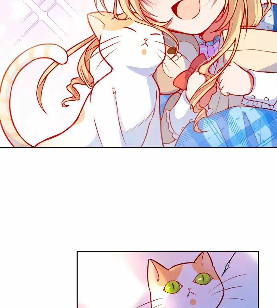 Kế Hoạch Sống Còn Của Công Chúa Nữ Phụ: Chapter 11