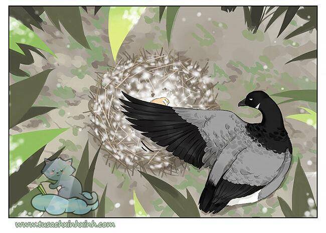 Chim Sẻ Gọi Ngỗng Trời: Chapter 5