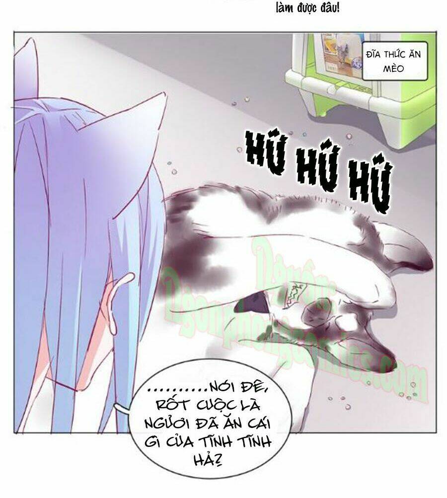 Đừng Nghịch, Ta Chỉ Muốn Yên Tĩnh: Chapter 7