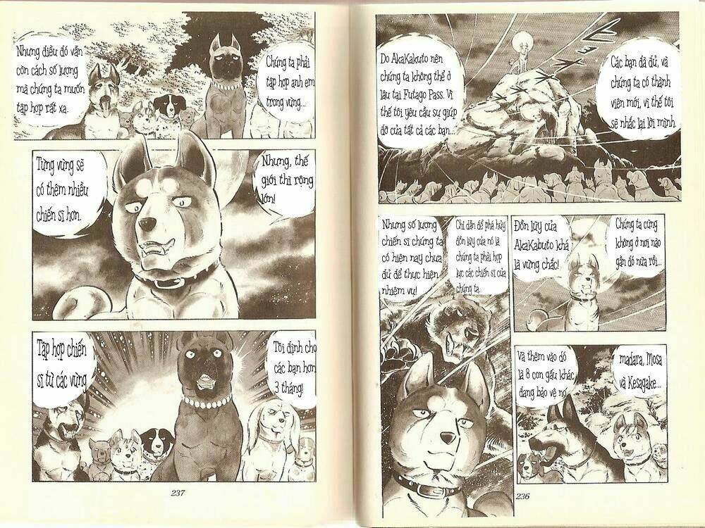 Chú Chó Có Nghĩa - Ginga Nagareboshi Gin: Chapter 11