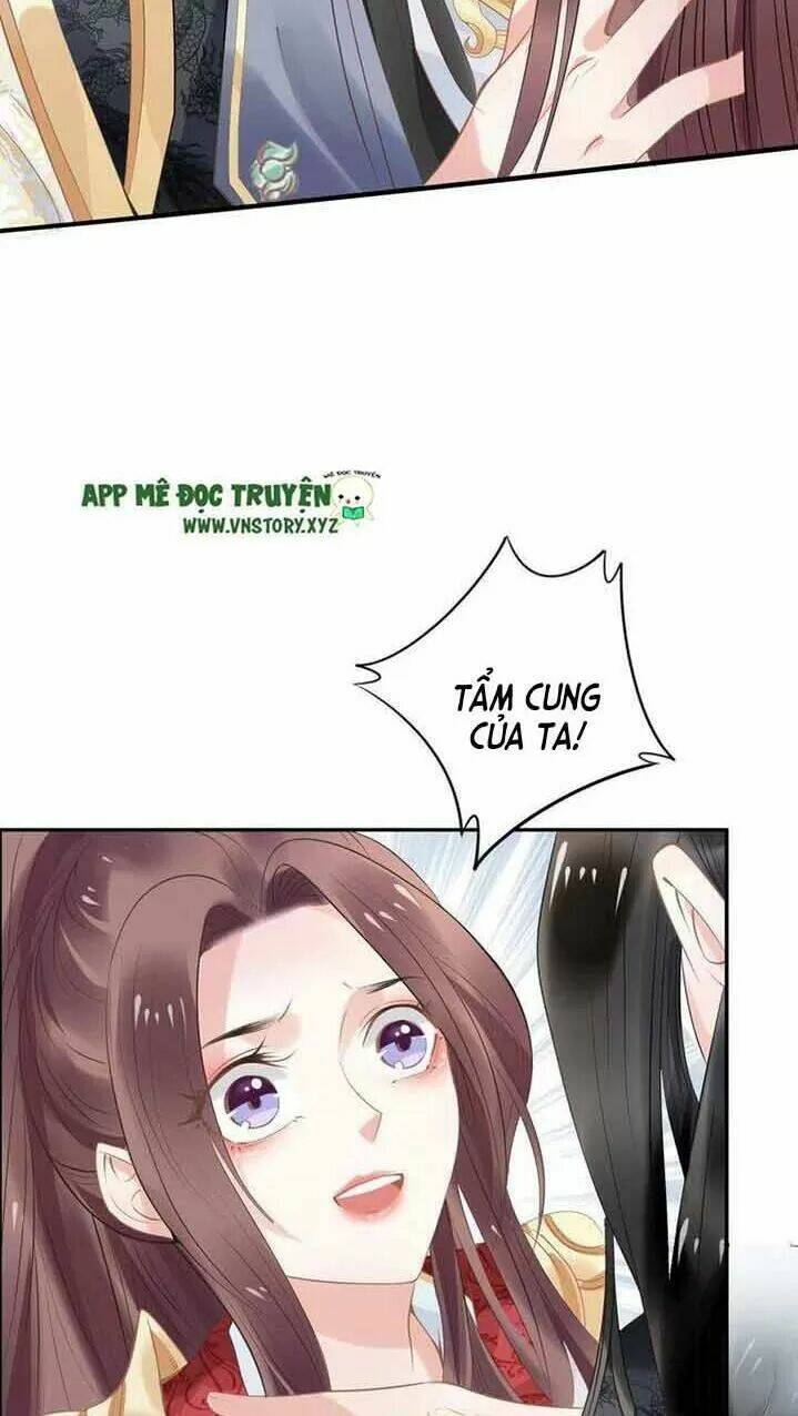 Nhất Sinh Nhất Thế Tiếu Thương Khung: Chapter 44