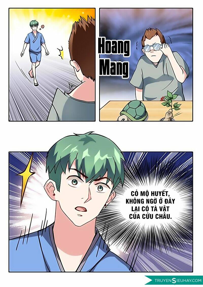 Cực Phẩm Tu Chân Thiếu Niên: Chapter 8