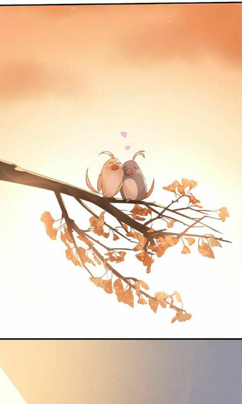 Đầu Gấu Biết Yêu: Chapter 105