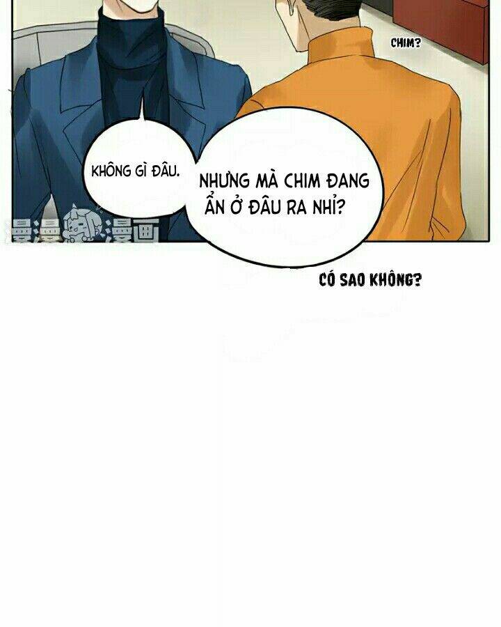 Trẫm Không Phải Là Đại Minh Tinh: Chapter 6