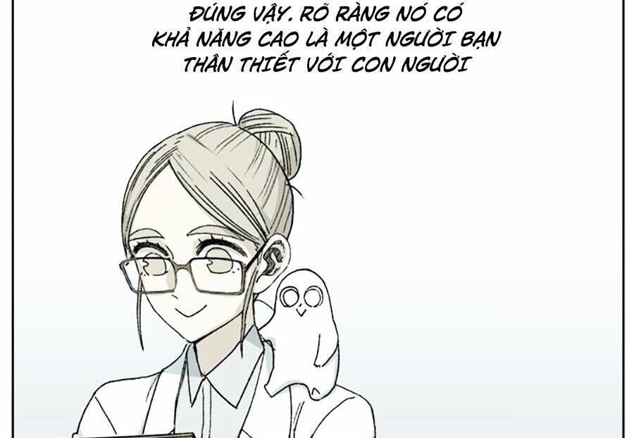 Đại Chiến Muỗi Biến Dị: Chapter 40