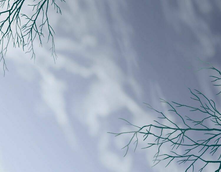 Hoa Nhan Sách: Chapter 46.1