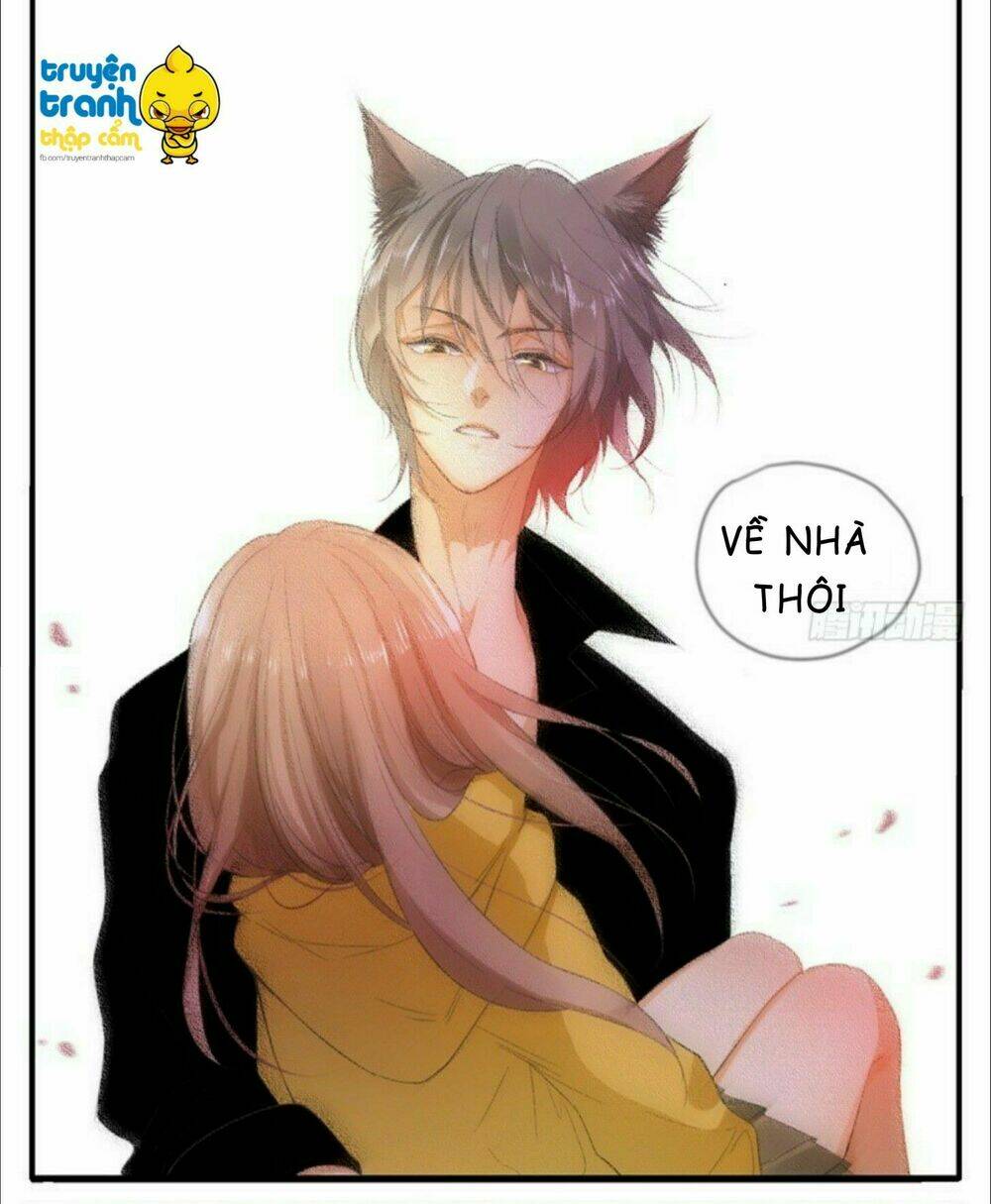 Cứu Mạng! Loài Mèo Thống Trị Thế Giới Rồi!: Chapter 35