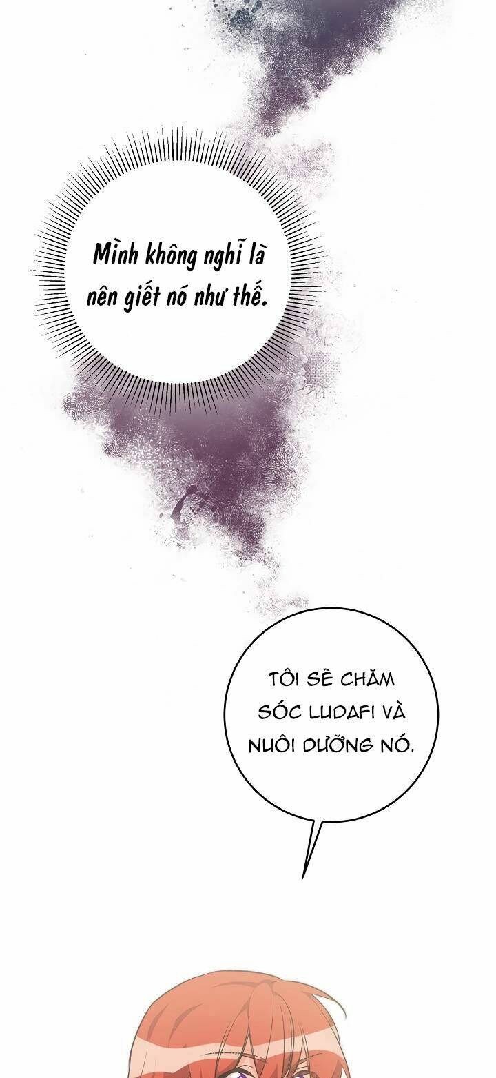 Công Nương Đã Thay Đổi: Chapter 31