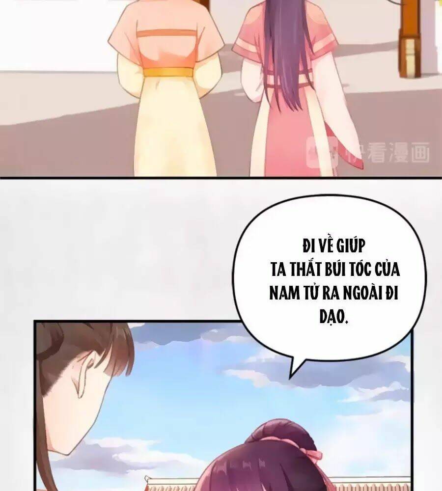 Hoạn Phi Hoàn Triều: Chapter 36