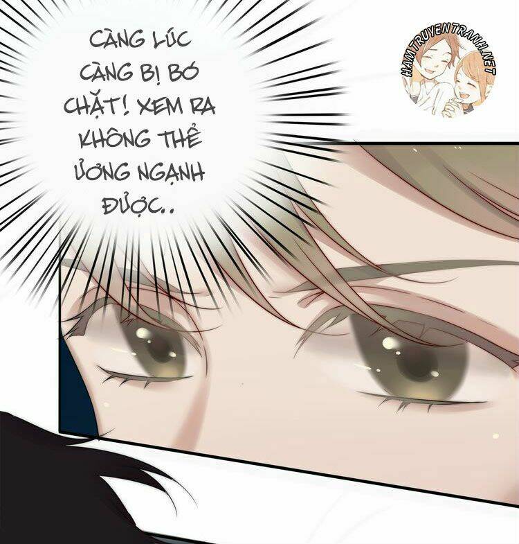 Viện Bảo Tàng Tâm Nguyện: Chapter 3.1