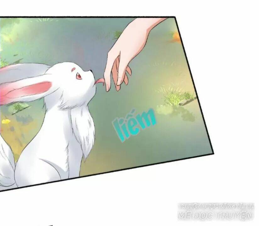 Cuồng Phi Phách Lối: Chapter 71