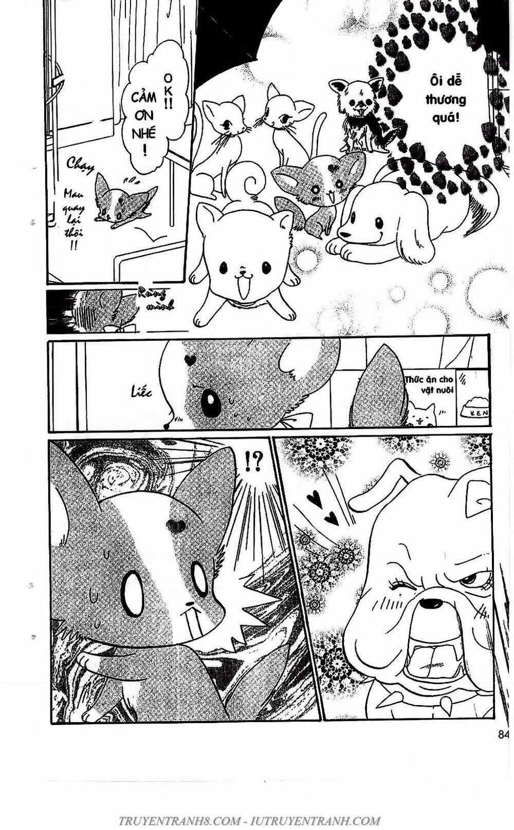 Bộ Sưu Tập Lọ Lem: Chapter 50