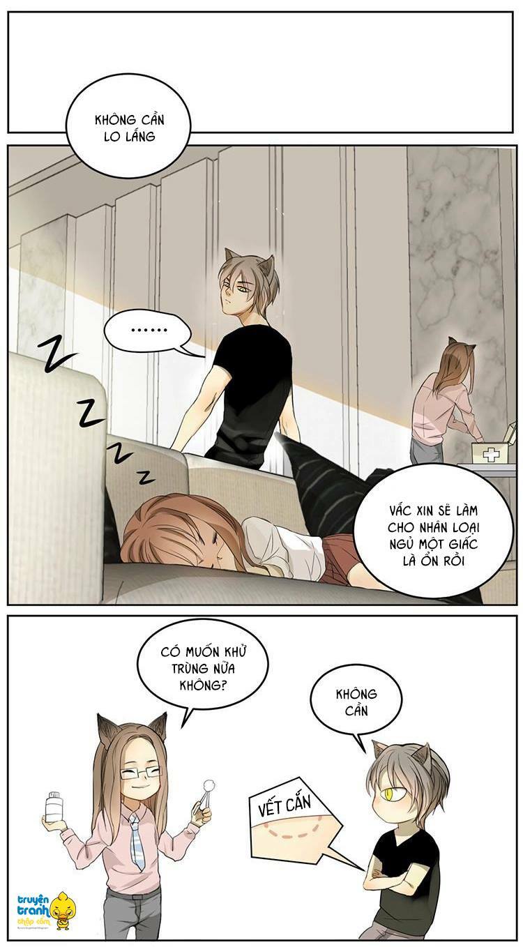 Cứu mạng ! Loài mèo thống trị thế giới rồi !: Chapter 4