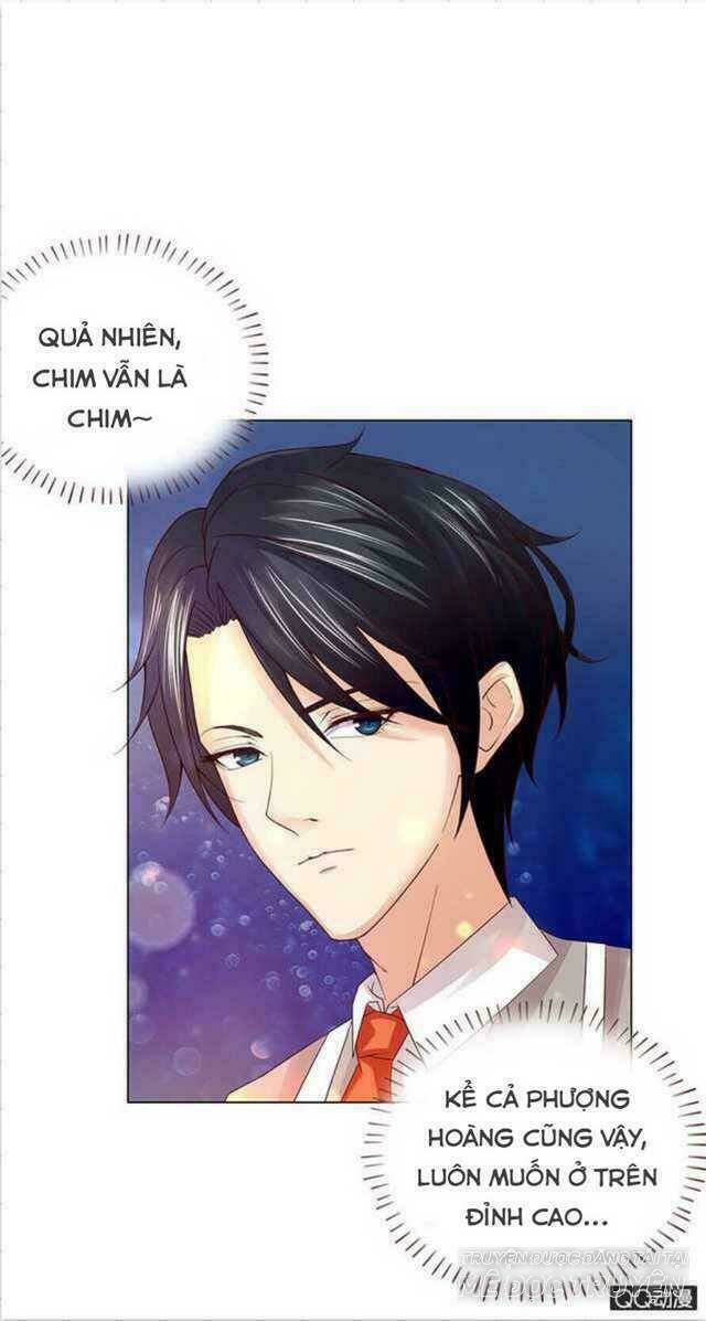 Băng Sơn Học Trưởng Không Được Chọc: Chapter 49.1