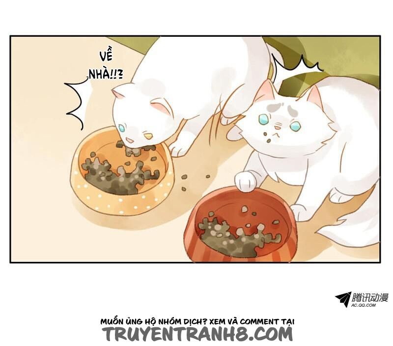 Sức Mạnh Của Sắc Đẹp: Chapter 12