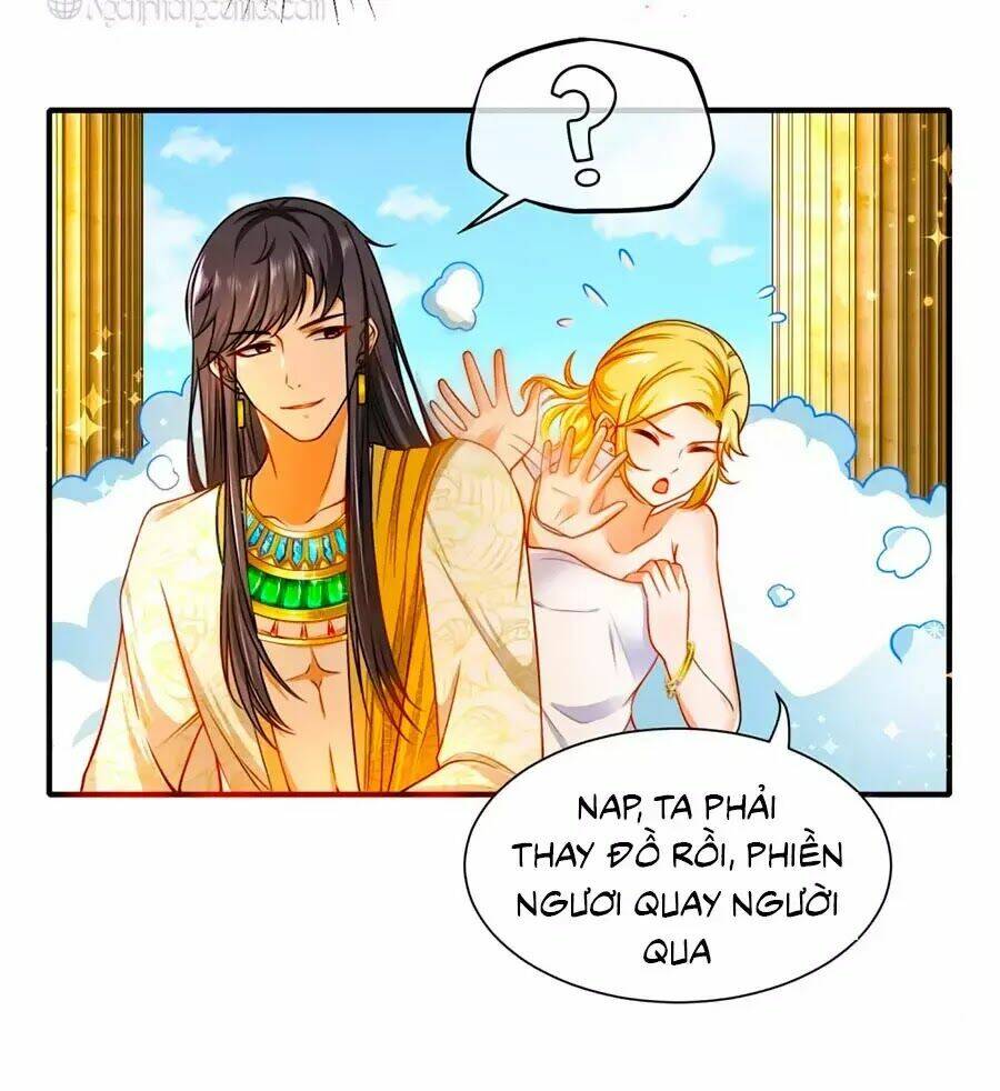 Sủng Hậu Của Vương: Chapter 6