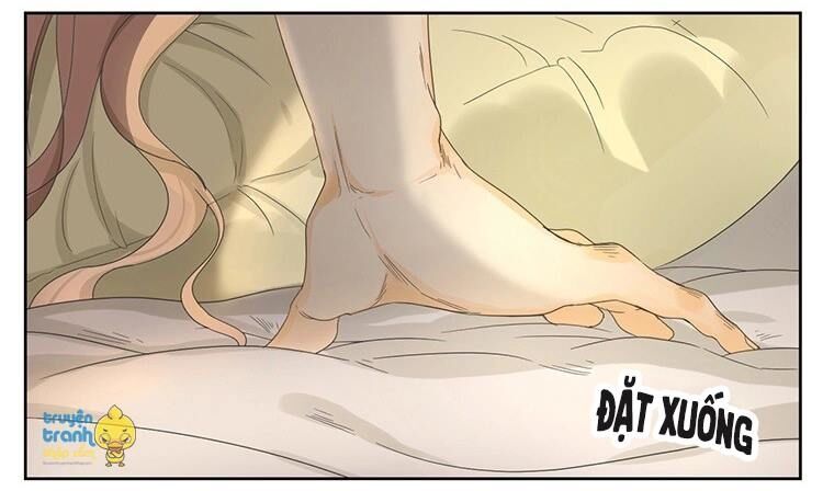 Cứu mạng ! Loài mèo thống trị thế giới rồi !: Chapter 15