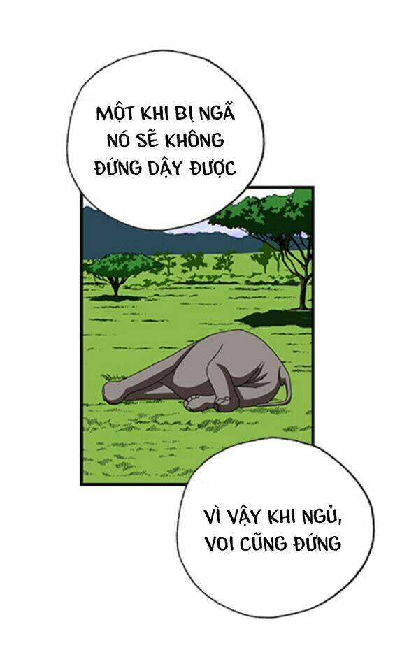 Cậu Bé Lập Dị: Chapter 19