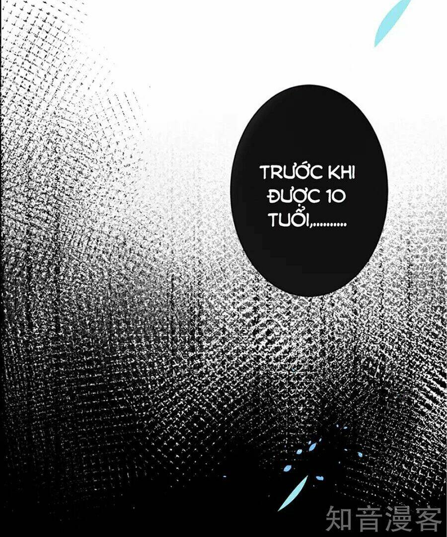 Tôi Bị Tổng Tài Ám Hại: Chapter 143