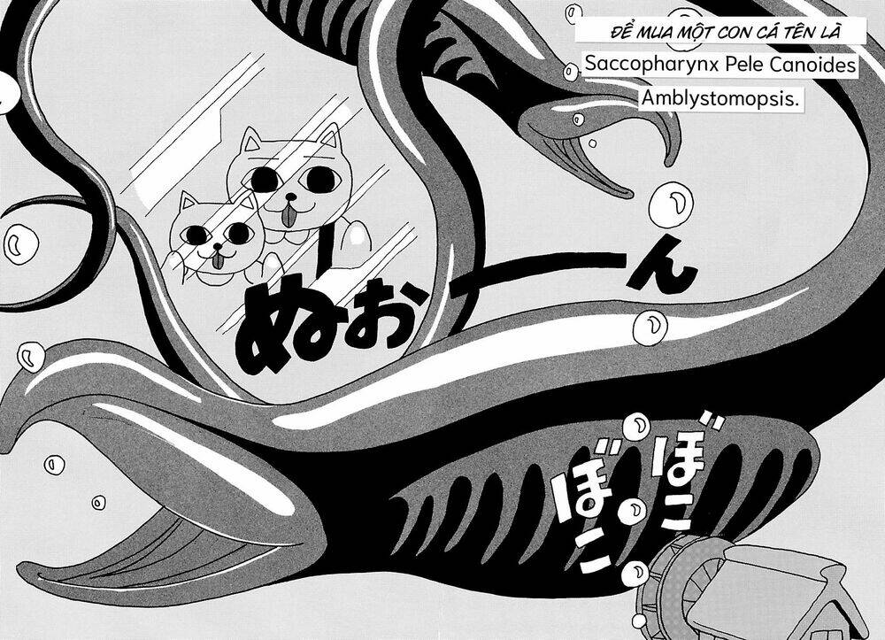 Nekojiru Udon: Chapter 17