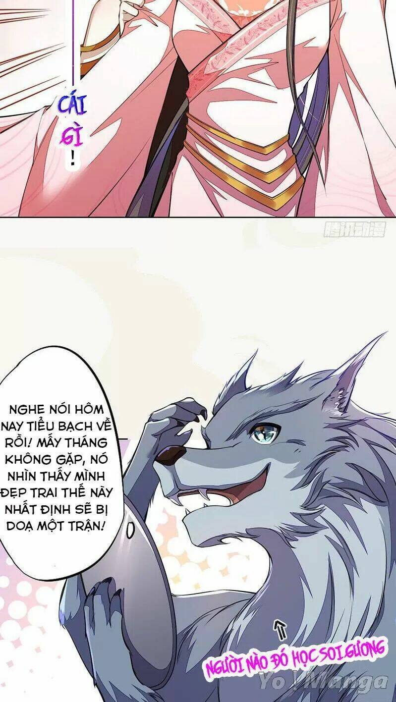 Tuyệt Thế Luyện Đan Sư: Chapter 102