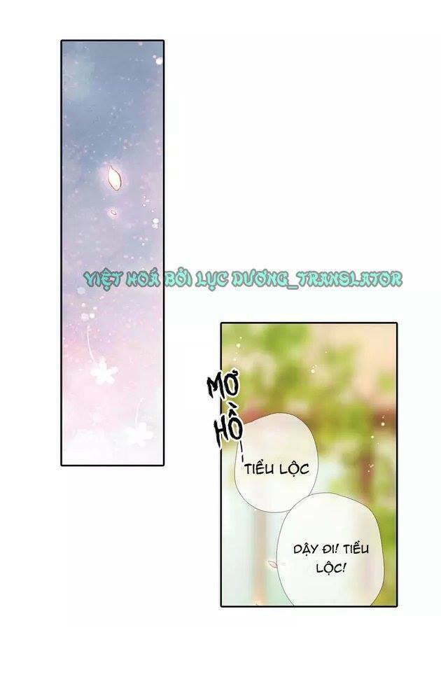 Tình yêu là màu hoa anh thảo: Chapter 20.5