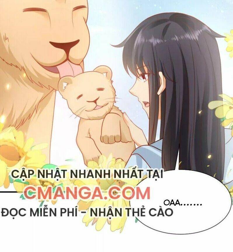 Sủng Hậu Của Vương: Chapter 63