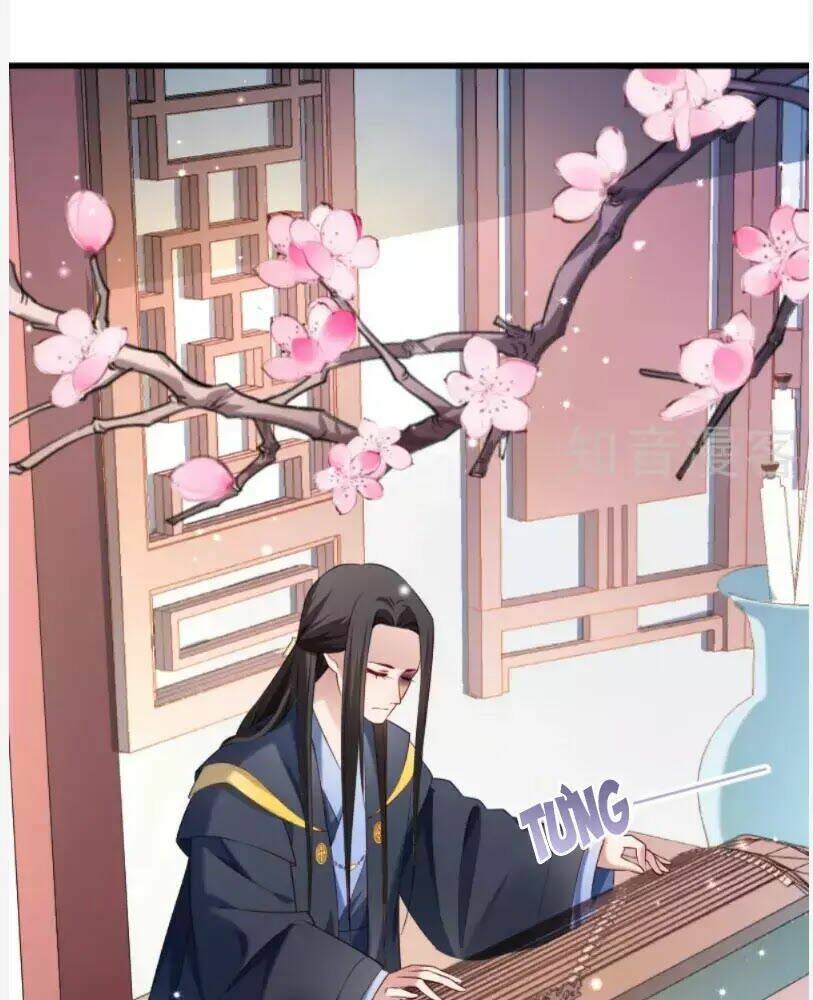 Tiểu Hoàng Thư Và Tiểu Hoàng Thúc: Chapter 55