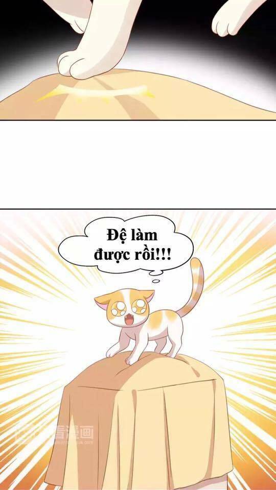 Dưới Móng Vuốt Mèo: Chapter 13