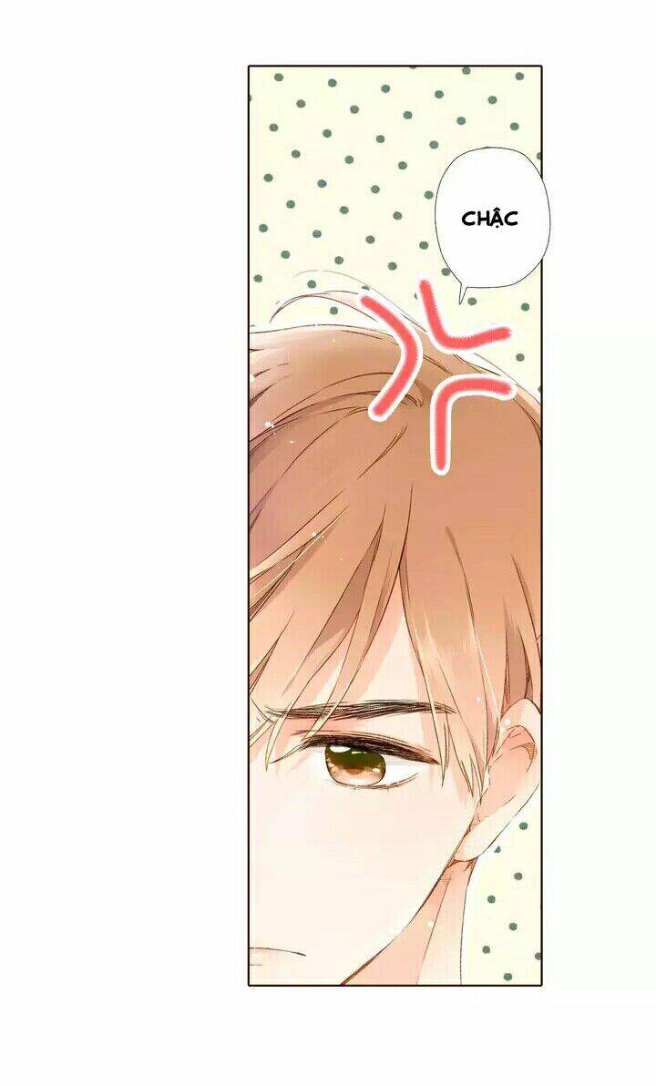 Tình Yêu Là Màu Hoa Anh Thảo: Chapter 28.2