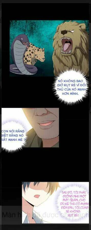 Vương Bài Bảo Tiêu: Chapter 4