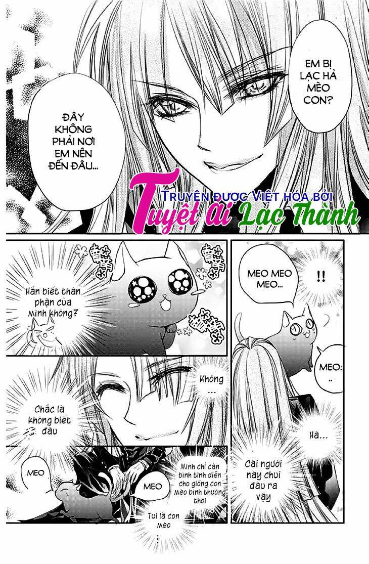 Chữ thập nhuộm máu: Chapter 15