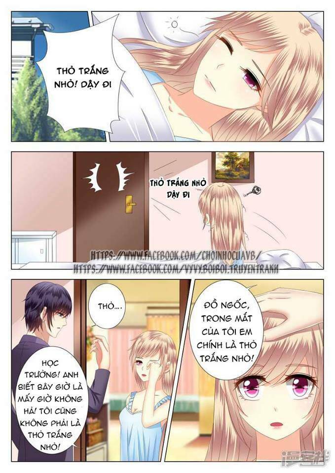 Phúc Hắc Hội Trưởng Thị Đầu Lang: Chapter 3