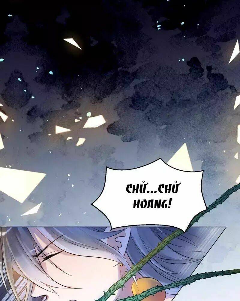 Yêu Long Đại Nhân Của Ta: Chapter 7