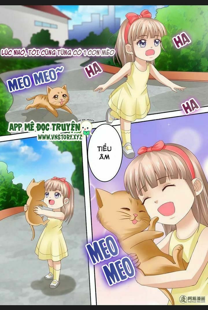 Cưng Chiều Vợ Yêu: Chapter 73: Chuyện cũ về mèo