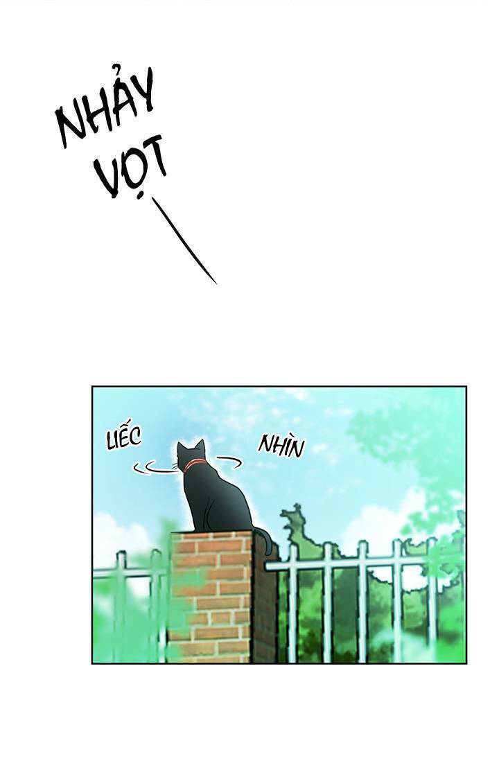 Cô Dâu Của Miêu Hoàng Tử: Chapter 3