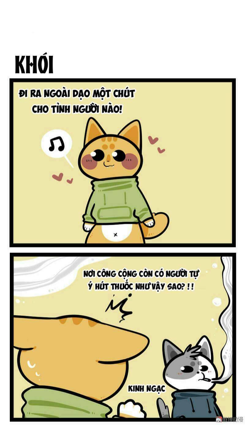 Đời Không Như Mình Tưởng: Chapter 59