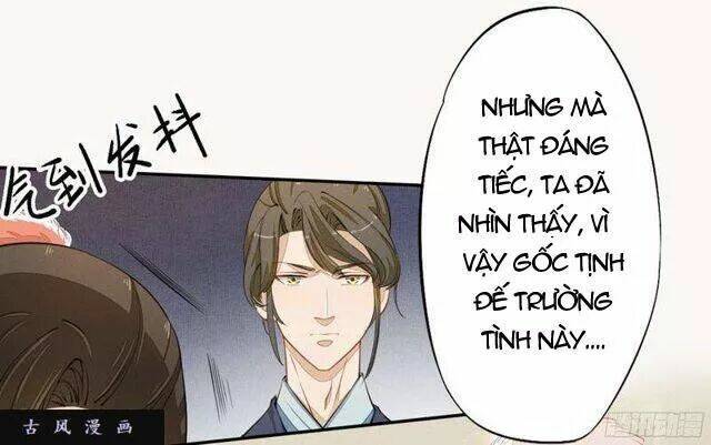 Tuyệt Thế Luyện Đan Sư: Chapter 23