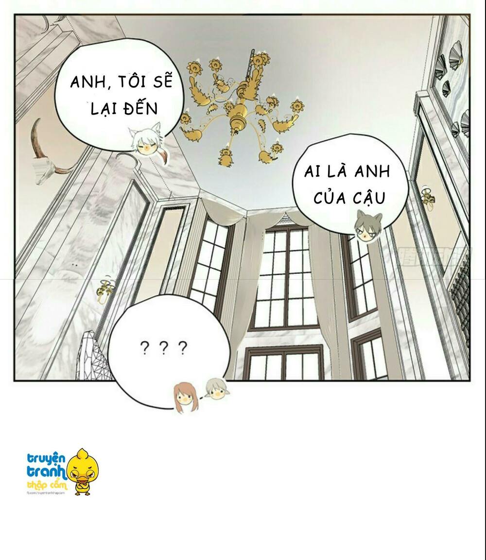 Cứu mạng ! Loài mèo thống trị thế giới rồi !: Chapter 32