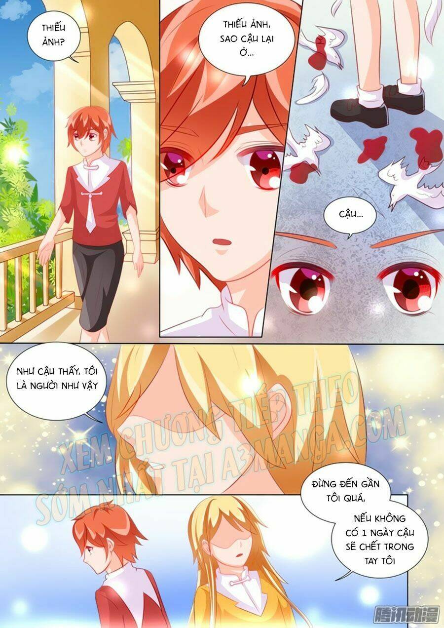 Chước Chước Lưu Ly Hạ: Chapter 94