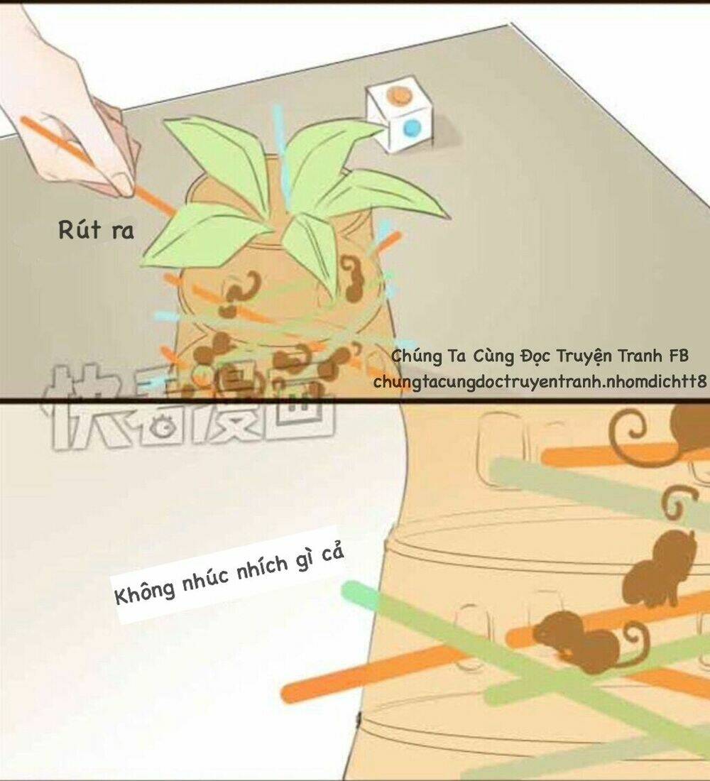 Tình Yêu Dưới Mái Hiên: Chapter 8