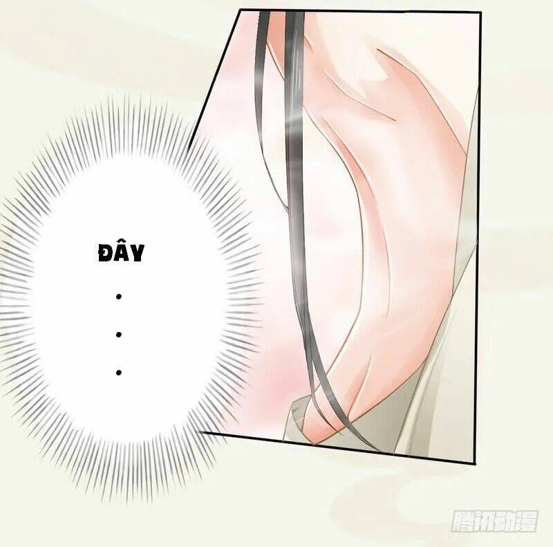 Tuyệt Thế Luyện Đan Sư: Chapter 12