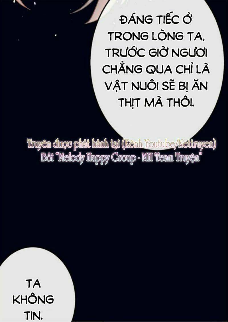 Mỹ Vị Hữu Không Phải Lỗi Của Tôi: Chapter 0.2