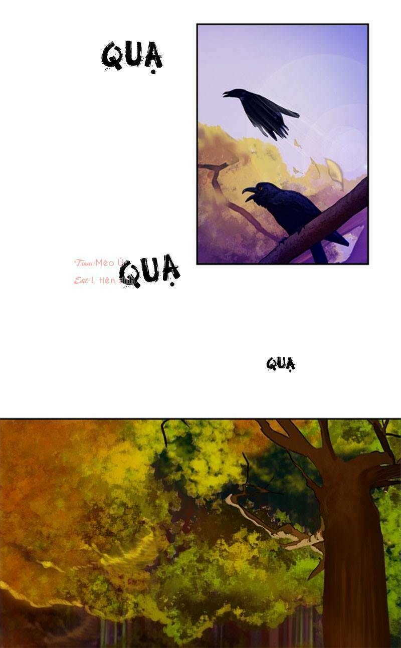 Lãnh Huyết Vương (King): Chapter 1